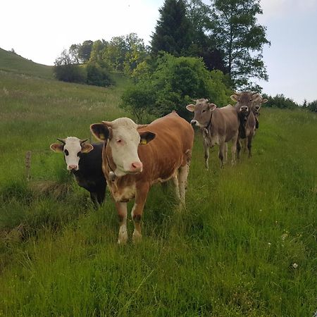 Ferienwohnung Schlossberg 1 Peiting Kültér fotó